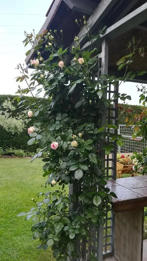 A Casa Giuli B&B Rimini